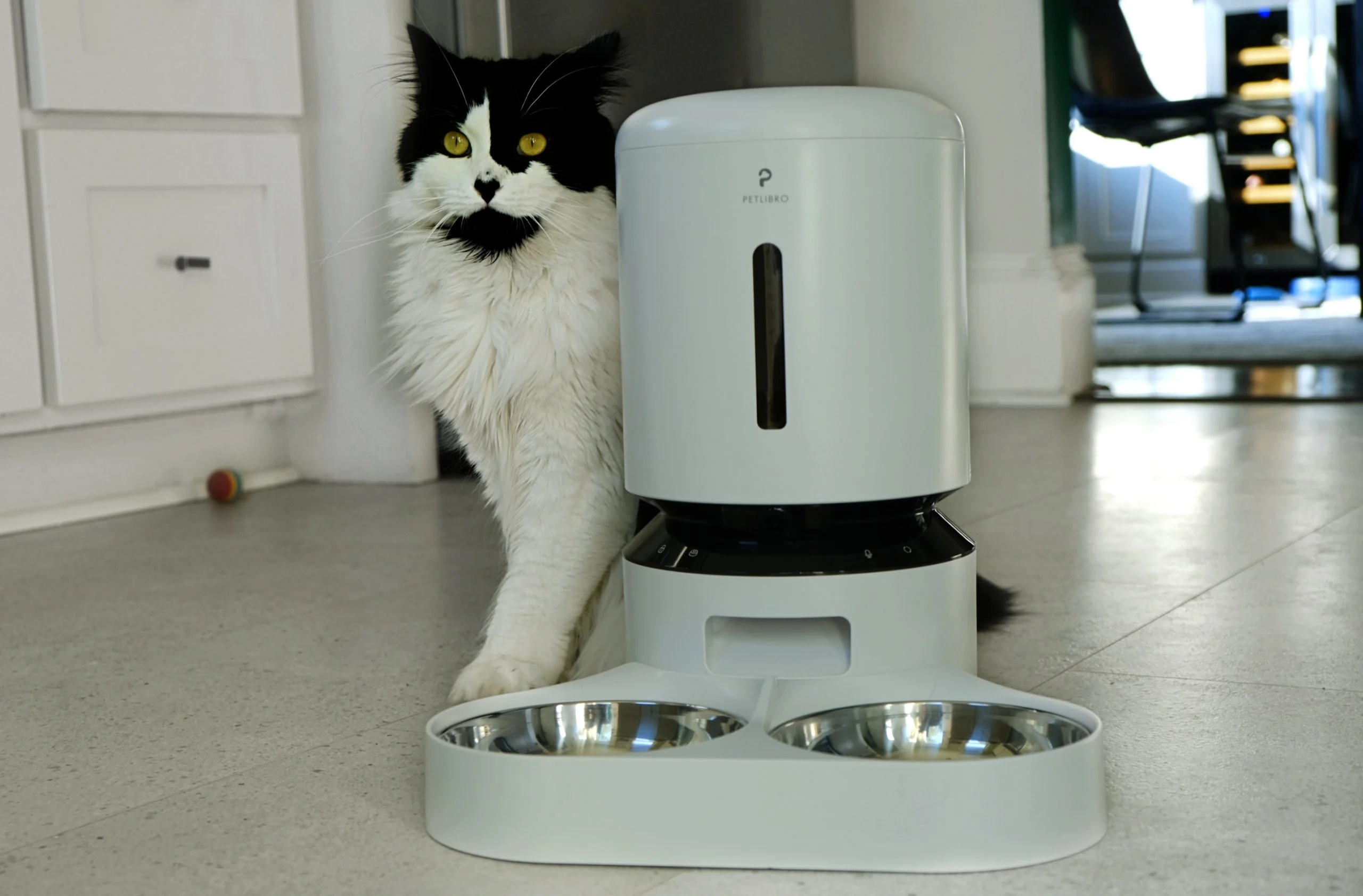 Petlibro 2026: Revolutionizing Pet Wellness Through AI-Driven Nutrition, Remote Surveillance, and Precision RFID Technology